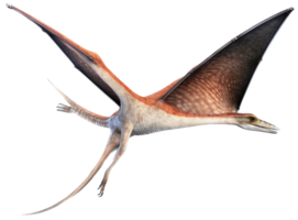Pteranodon fliegend png mit ai generiert.
