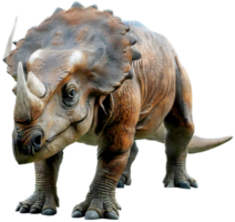Triceratops png mit ai generiert