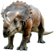 triceratops png con ai generado