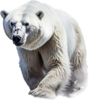 Polar- Bären png mit ai generiert