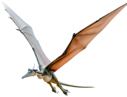 Pteranodon volante png con ai generato.