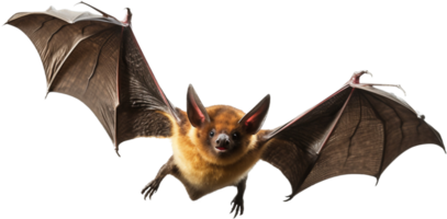 pipistrello volante png con ai generato.