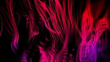 3D abstract digital technology animated pink light particles on black background. video