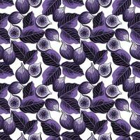 Seamless botanical pattern with figs and leaves vector