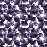 Seamless botanical pattern with figs and leaves vector