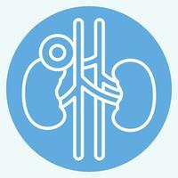 Icon Kidney. related to Body Ache symbol. blue eyes style. simple design editable. simple illustration vector