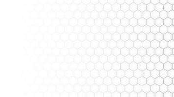 White honeycomb motif background photo
