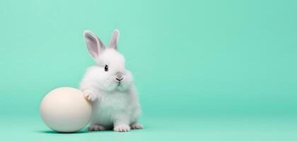 Cute bunny and single easter egg. Concept of happy easter day. photo