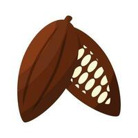 cocoa bean plant fruit chocolate day element vector