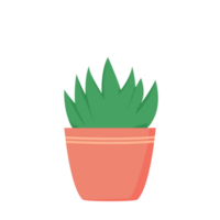 aloe växt illustrationer png