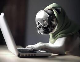 Cute pug dog with hoodie. Concept of hacker, busy pet or work from home. photo