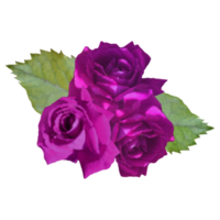 Strauß lila Rose Blume png
