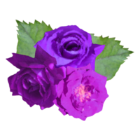 bouquet purple rose  flower png