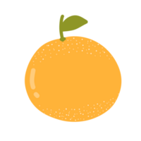 ilustración de fruta naranja png