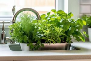 various greenery to wash in sink, photo