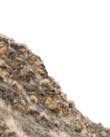 Hill view with rough stones and dry grass concept photo. png