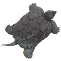 Maritime steel statue - ocean turtle isolated PNG photo with transparent background.