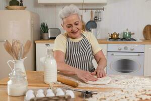 Happy senior woman cooking in kitchen. Stylish older mature gray haired lady grandmother knead dough bake cookies. Old grandma cook homemade food. Household housewife housework concept. photo