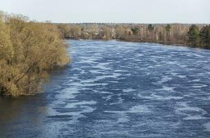 Floods in the spring forest. Sunny spring day and blue sky. Waves on the water. View from above. Photo in high quality. Horizontal