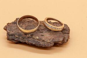 Gold wedding rings on a wooden bark photo