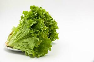 Green lettuce with beautiful juicy green leaves on a white plate on a white background. Background. Photo in high quality.