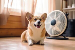 Cute dog lying on floor at home in hot day cooling under the fan, summer heat. photo