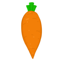 Cartoon Orange Carrot and fresh root vegetables png