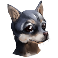 Cute chihuahua head paint style PNG