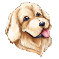 fofa dourado retriever cabeça pintura estilo png