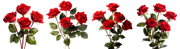 manojo de rojo rosas flores en transparente fondo, generativo ai tecnología png