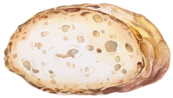 Baguette cut in half, French bread. Hand drawn watercolor illustration.Bakery for design  menu cafe.Baked bread. png