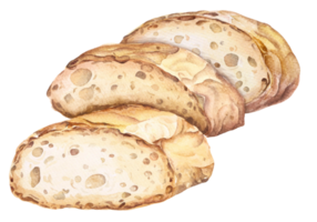 Baguette cut in half, French bread. Hand drawn watercolor illustration.Bakery for design menu cafe.Baked bread. png