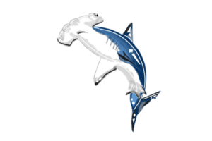 hamerhaai haai onder blauw oceaan png