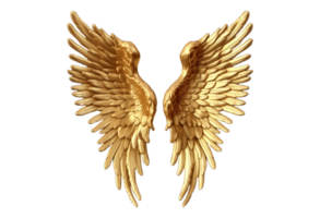 3d golden wings transparent background, File - Artwork png