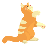 Cat Playing Pose Illustration png