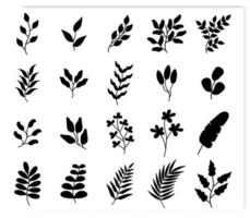 Set of silhouettes of leaves vector