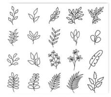 Line art set of hand drawn leaves vector