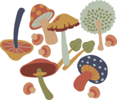 Illustration of Different Mushrooms png