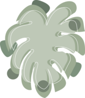 astratto Monstera foglia design png