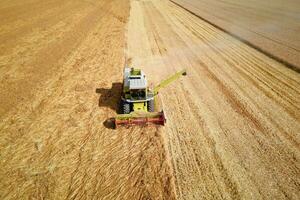 Harvester combine working in the field photo