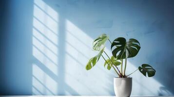 Table with plant in vase against blue wall background. photo