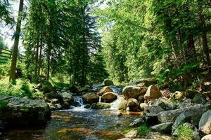 Fast mountain river with cascades in Karpacz, Poland photo