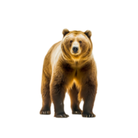 polar Urso png generativo ai