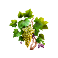 manojo de uvas en png transparente antecedentes gratis png generativo ai