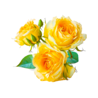 Jaune Rose fleur png génératif ai