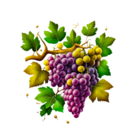 Bunch of grapes on transparent background free png