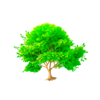 Nature object tree isolated on transparent background png