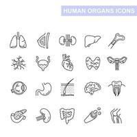 humano interno Organo línea icono. mínimo vector ilustración con sencillo Delgado contorno íconos como pulmón, corazón, estómago, hueso, cerebro, riñón, cráneo y otro anatomía partes