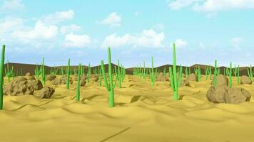 Cactus Desert Day Background Loop video