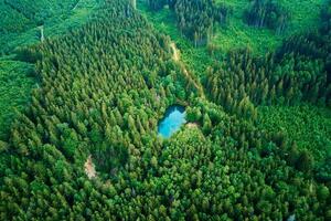 Aerial view of blue colored forest lake in Poland photo